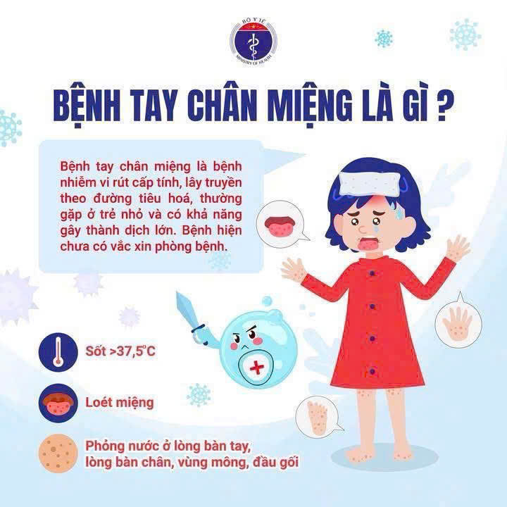 UBND PHƯỜNG VĂN MIẾU – QUỐC TỬ GIÁM TĂNG CƯỜNG TUYÊN TRUYỀN, CHỦ ĐỘNG PHÒNG, CHỐNG BỆNH TAY CHÂN MIỆNG TRÊN ĐỊA BÀN- Ảnh 1.