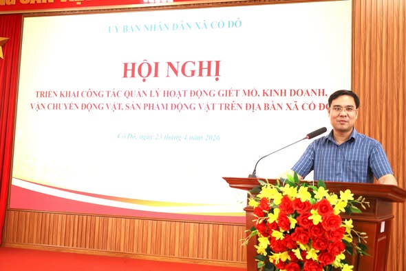 UBND XÃ CỔ ĐÔ TỔ CHỨC HỘI NGHỊ TRIỂN KHAI CÔNG TÁC QUẢN LÝ GIẾT MỔ, VẬN CHUYỂN, KINH DOANH ĐỘNG VẬT VÀ SẢN PHẨM ĐỘNG VẬT- Ảnh 2.