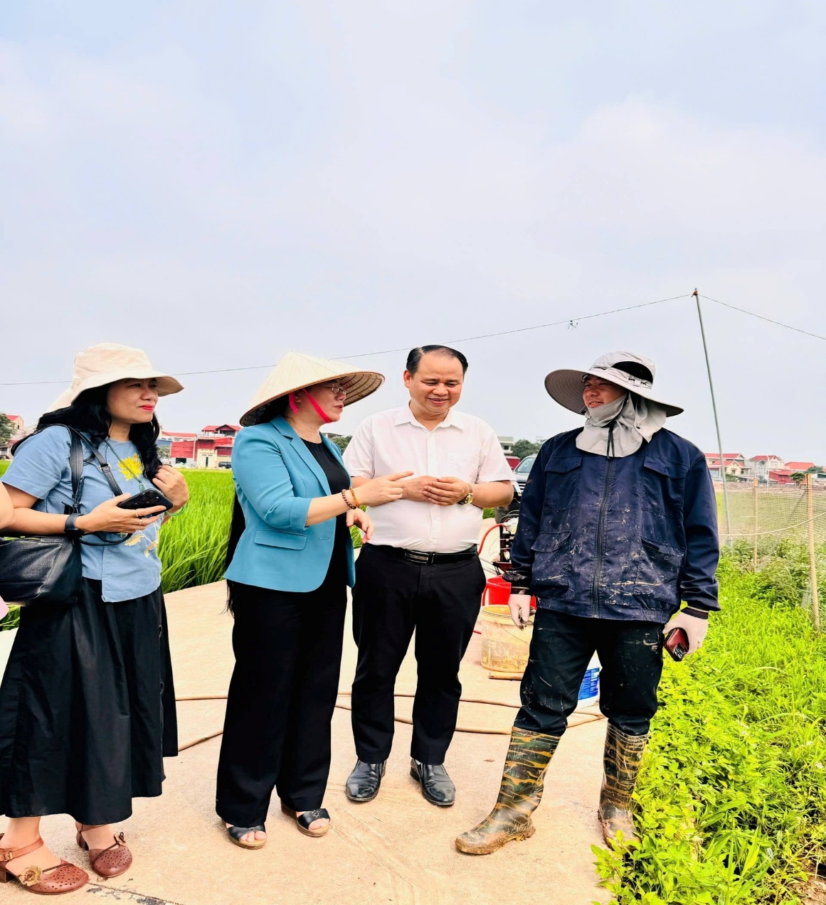 Chủ tịch Hội Nông dân TP Hà Nội khảo sát mô hình nông nghiệp hiệu quả tại xã Hát Môn- Ảnh 1.