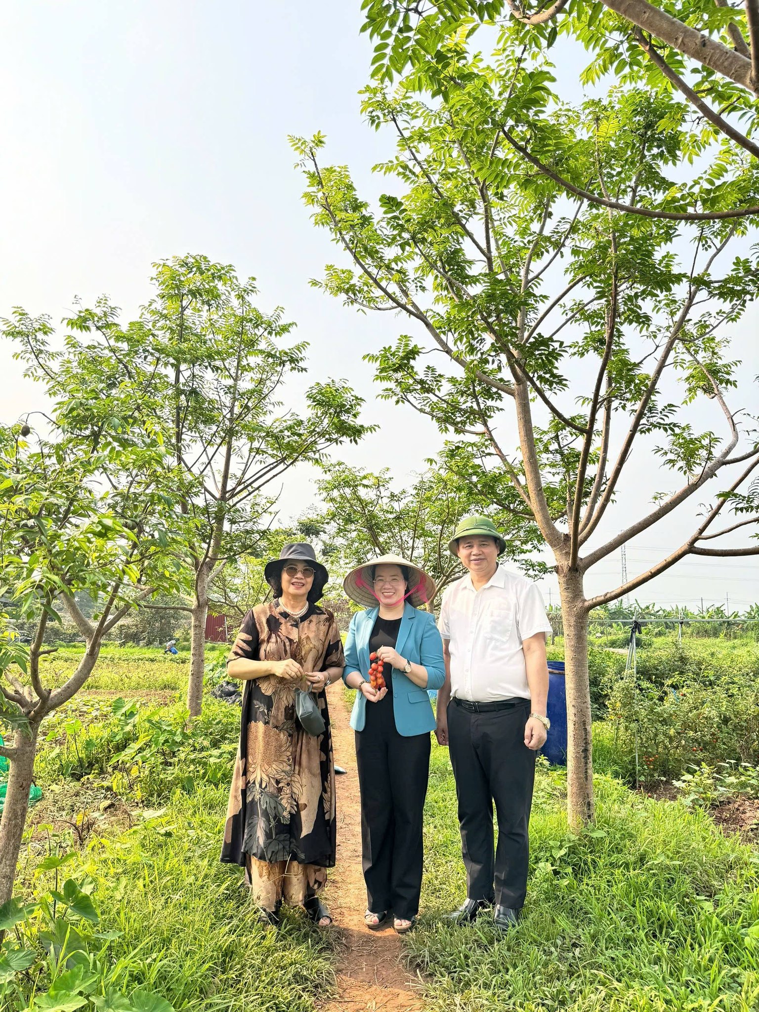 Chủ tịch Hội Nông dân TP Hà Nội khảo sát mô hình nông nghiệp hiệu quả tại xã Hát Môn- Ảnh 2.