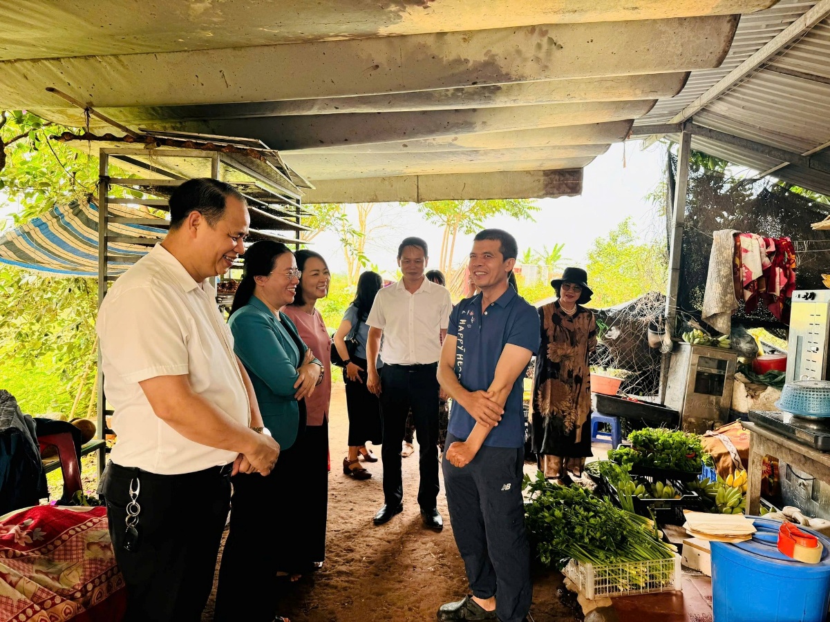 Chủ tịch Hội Nông dân TP Hà Nội khảo sát mô hình nông nghiệp hiệu quả tại xã Hát Môn- Ảnh 3.