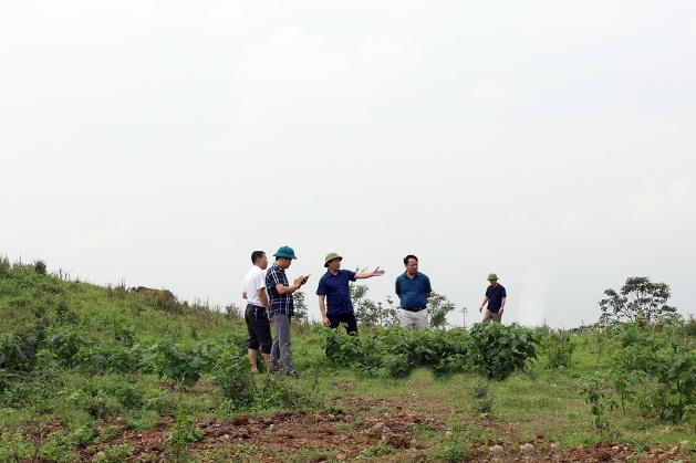 Xuân Mai tổ chức đoàn kiểm tra, đánh giá hiện trạng đất rừng theo Kế hoạch số 57/KH-UBND ngày 18/02/2022 của UBND thành phố Hà Nội- Ảnh 2.