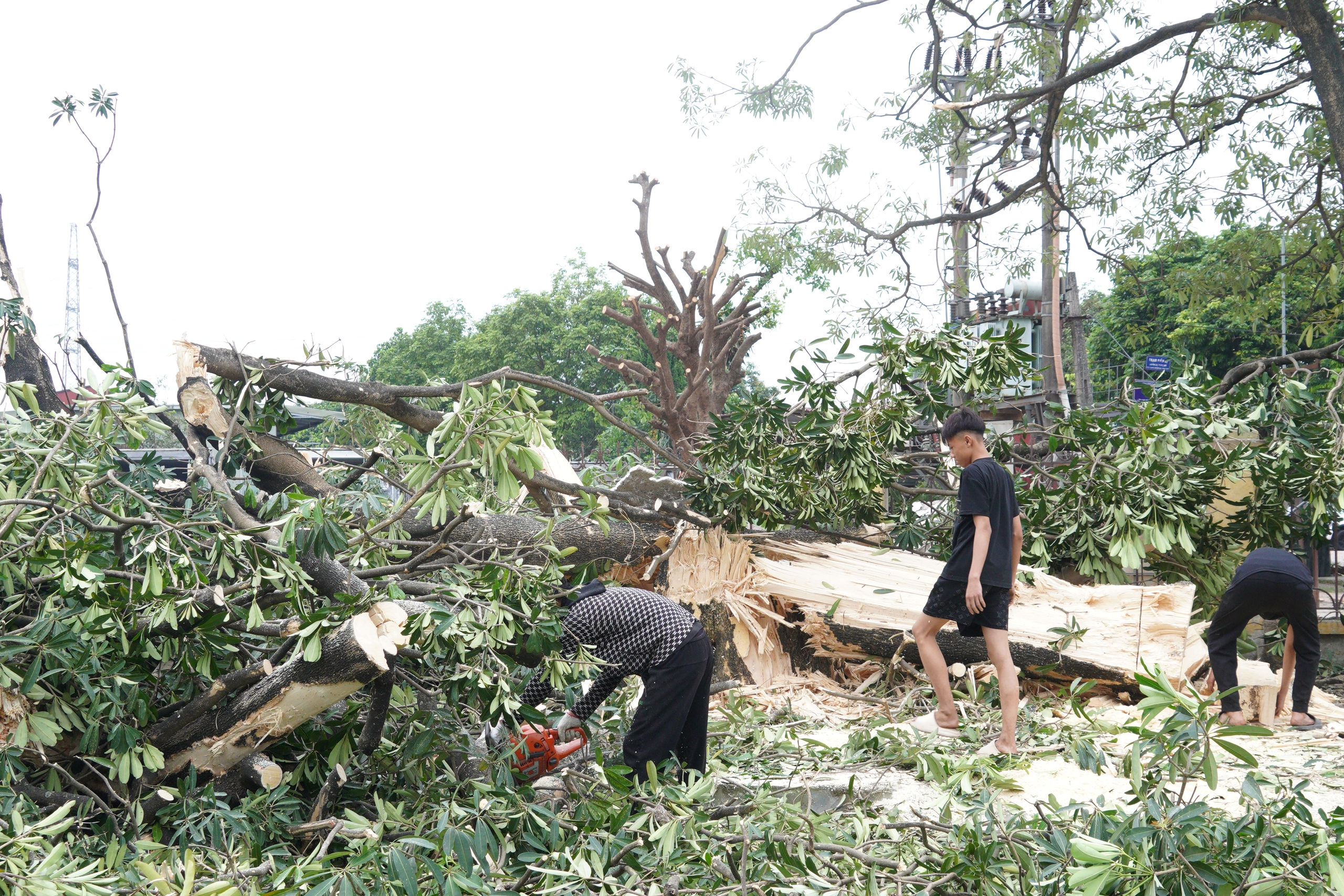 Hiệu quả từ sự đồng thuận của người dân trong công tác giải phóng mặt bằng tại phường Chương Mỹ- Ảnh 10.
