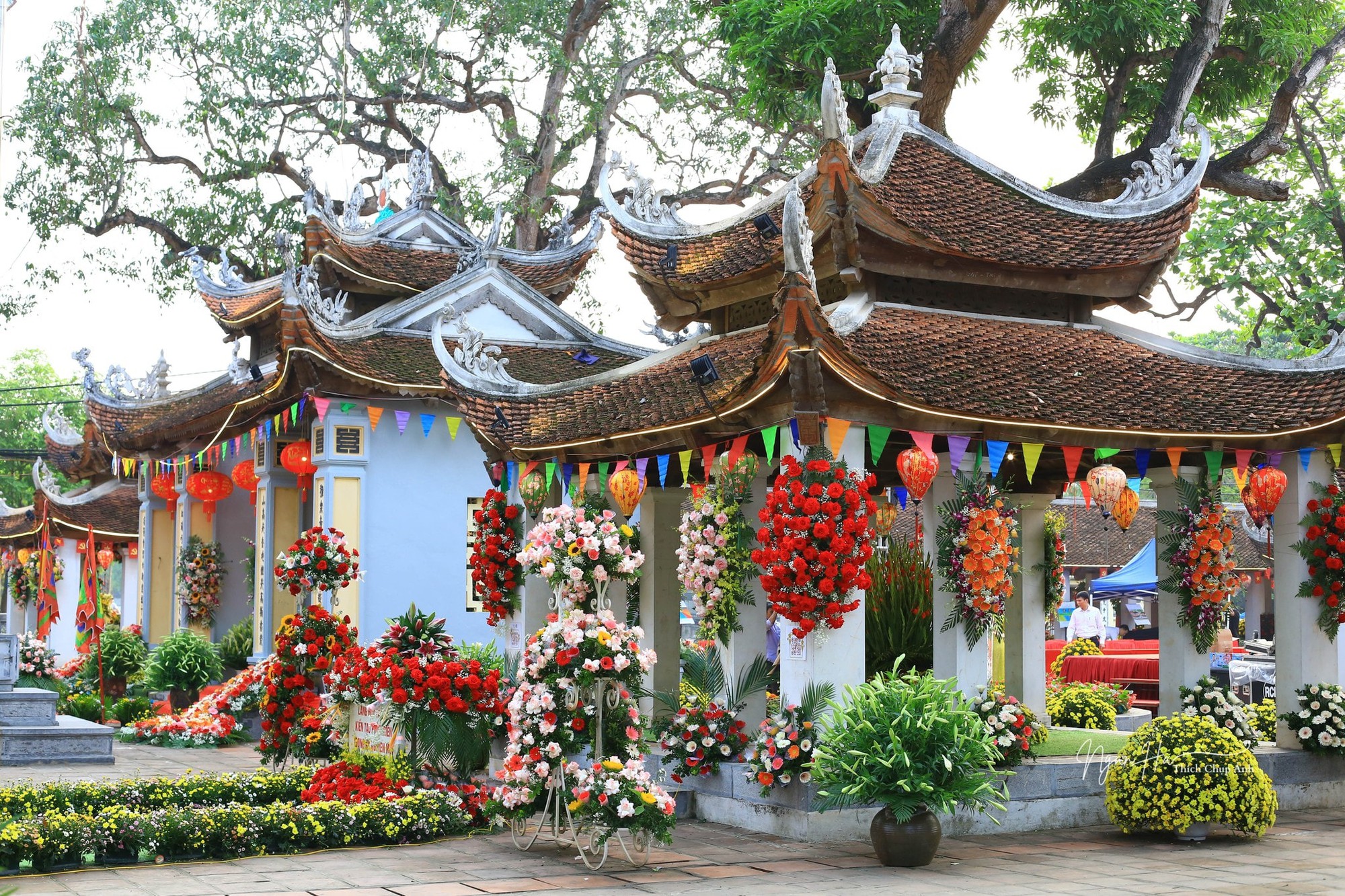 Không gian “Nơi di sản nở hoa” rực rỡ tại lễ hội đình, miếu Tây Tựu 2026- Ảnh 1.