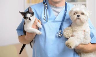 Hà Nội công bố thủ tục hành chính nội bộ mới và bãi bỏ lĩnh vực Thú y và Thủy sản- Ảnh 1.