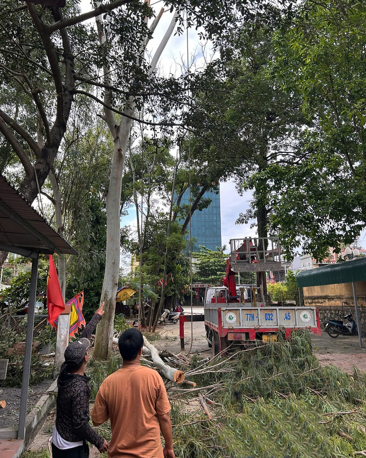 Xuân Mai triển khai kế hoạch cắt tỉa cây xanh đảm bảo cảnh quan, mỹ quan đô thị, phòng chống thiên tai trên địa bàn- Ảnh 1.