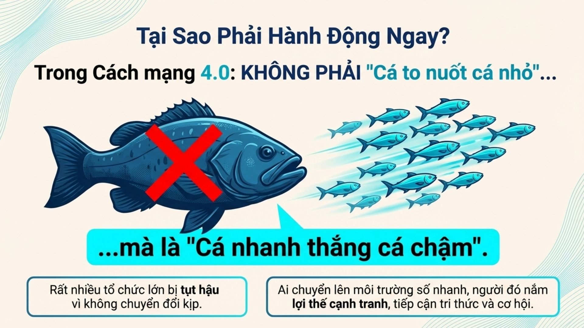 Xã Thư Lâm đẩy mạnh chuyển đổi số gắn với an toàn thông tin- Ảnh 4.