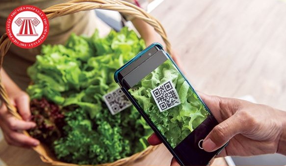 Mỗi người dân cần mua bán và sử dụng thực phẩm rõ nguồn gốc- Ảnh 1.