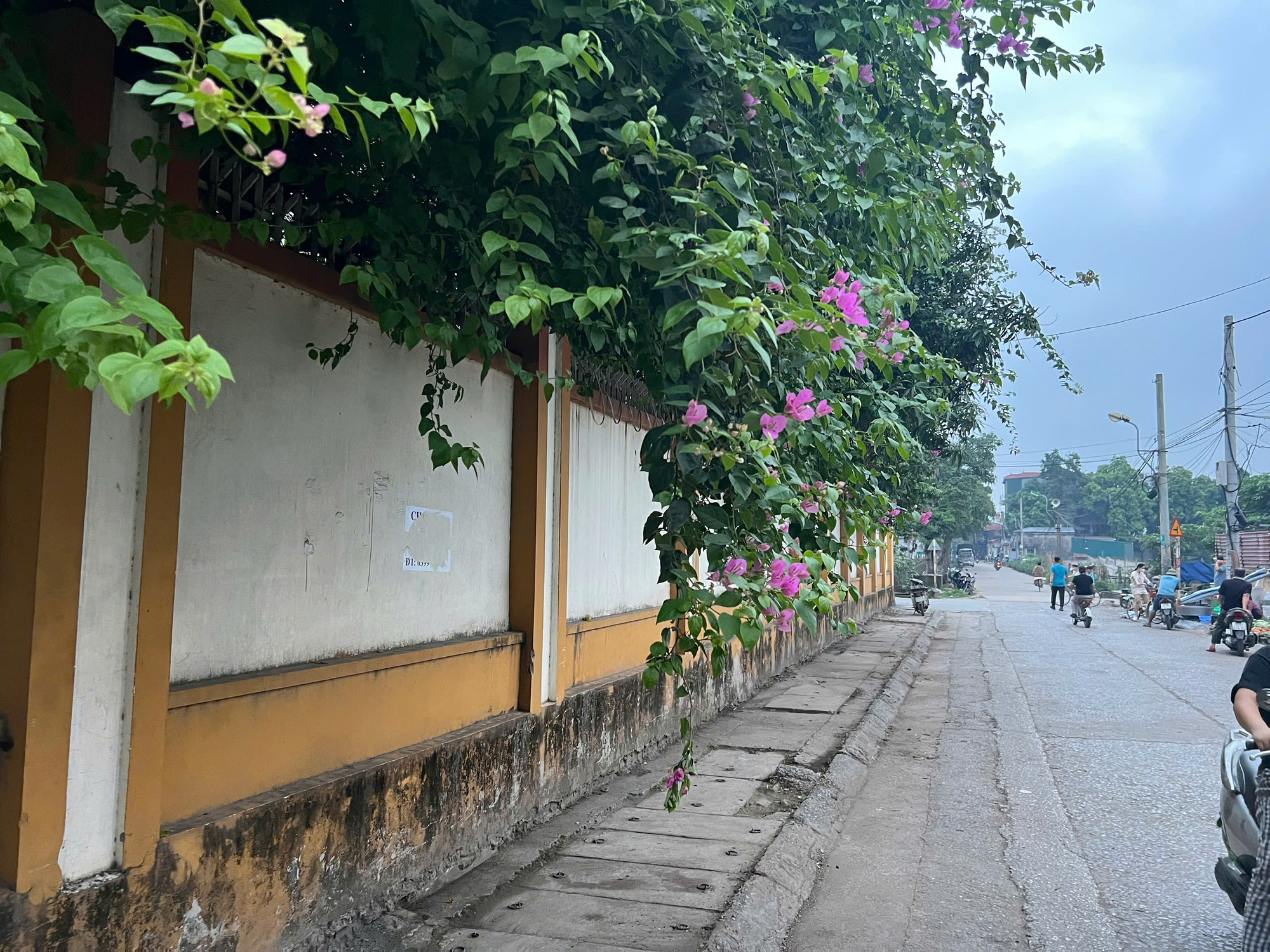 Đoàn viên giáo viên trường Tiểu học Thúy Lĩnh tích cực ra quân tổng vệ sinh vì môi trường Xanh – Sạch – Đẹp- Ảnh 2.