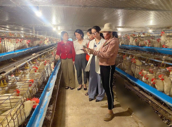 Xã Phú Xuyên tăng cường công tác kiểm soát nguồn thực phẩm bữa ăn bán trú cho học sinh
- Ảnh 3.