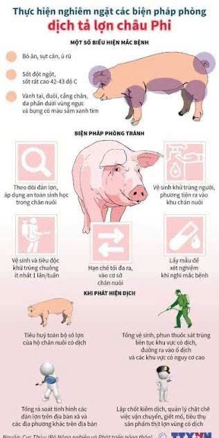 Phường Thanh Liệt siết chặt công tác phòng, chống dịch tả lợn châu Phi- Ảnh 1.