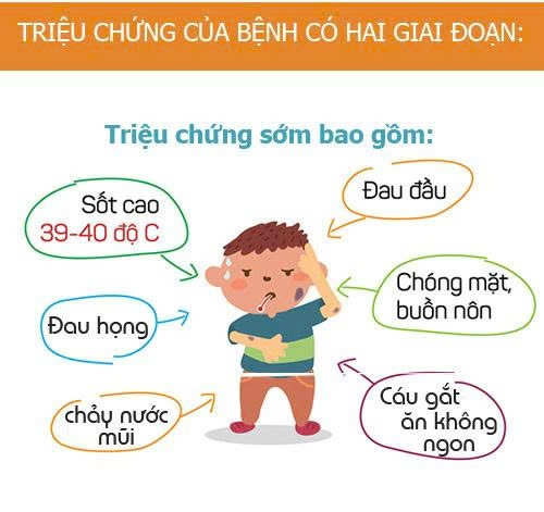 Phòng chống bệnh viêm màng não do não mô cầu- Ảnh 3.