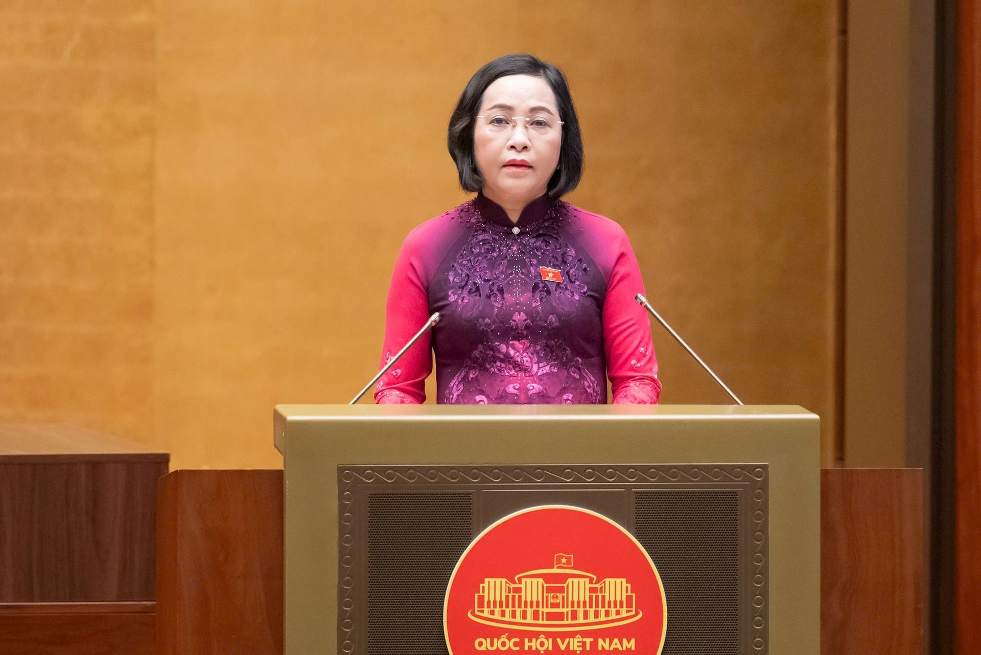 Khai mạc trọng thể kỳ họp thứ nhất, Quốc hội khóa XVI- Ảnh 9.