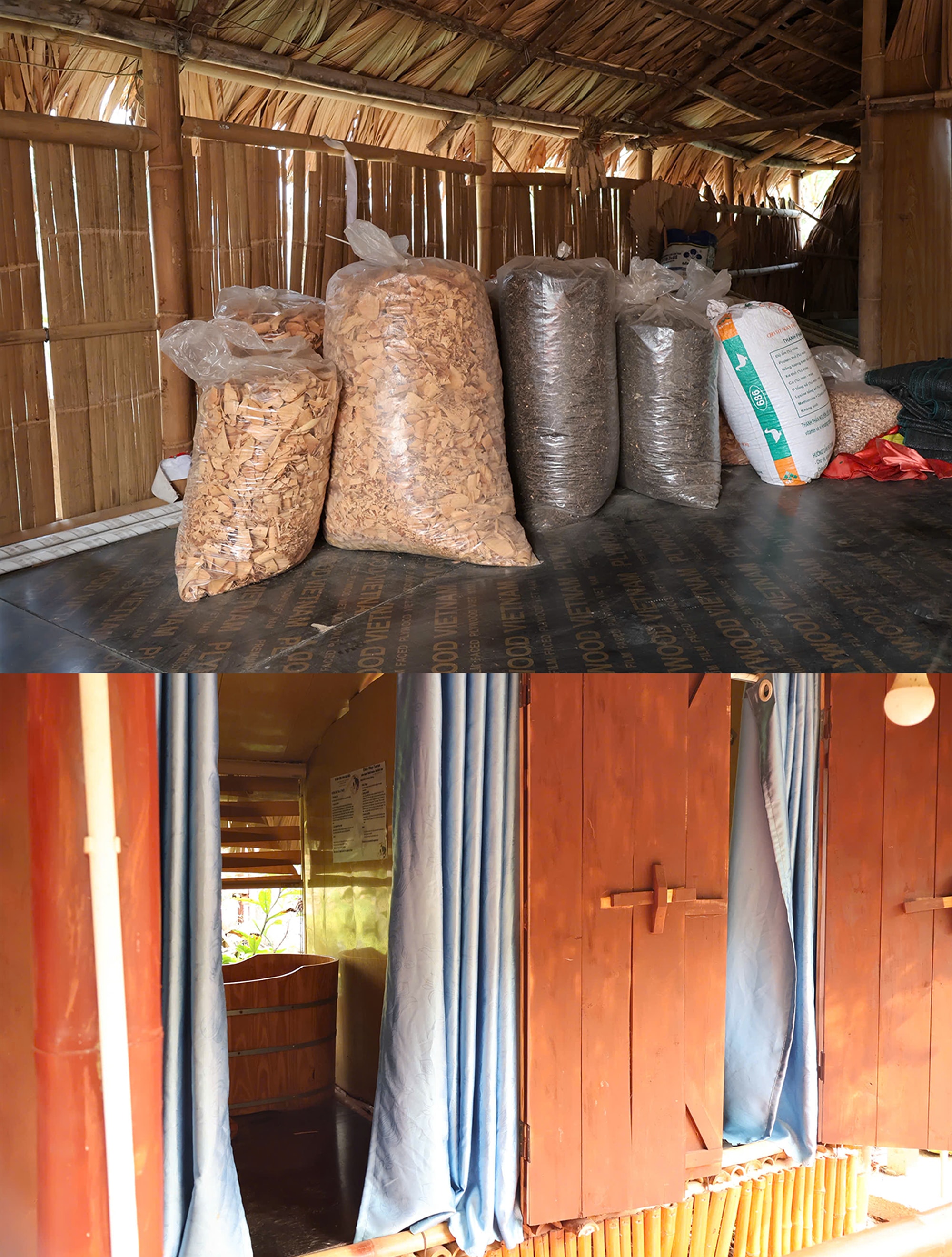 Khát vọng vươn lên làm giàu của người dân Ba Vì dưới chân núi Tản- Ảnh 3.