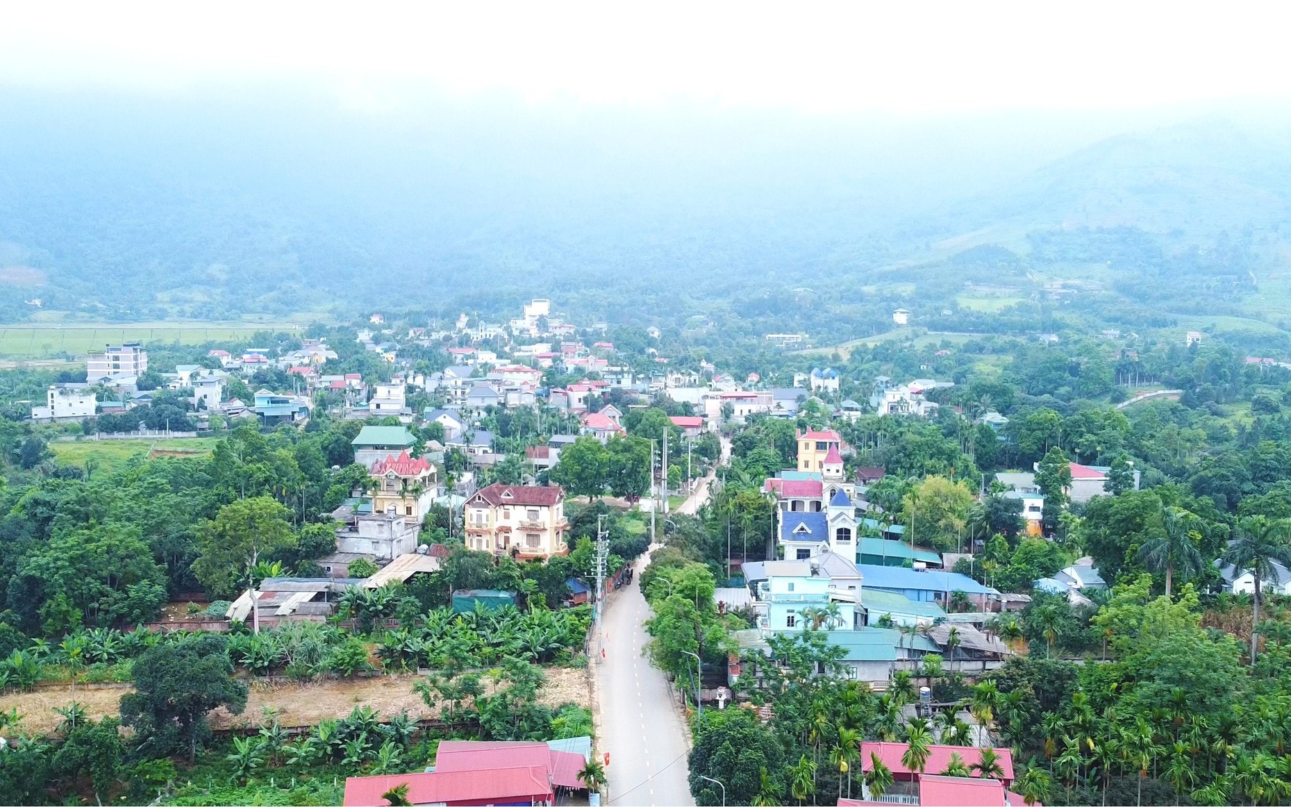 Hà Nội: Từng bước hiện thực hoá mục tiêu “rừng trong phố, phố trong rừng”- Ảnh 1.