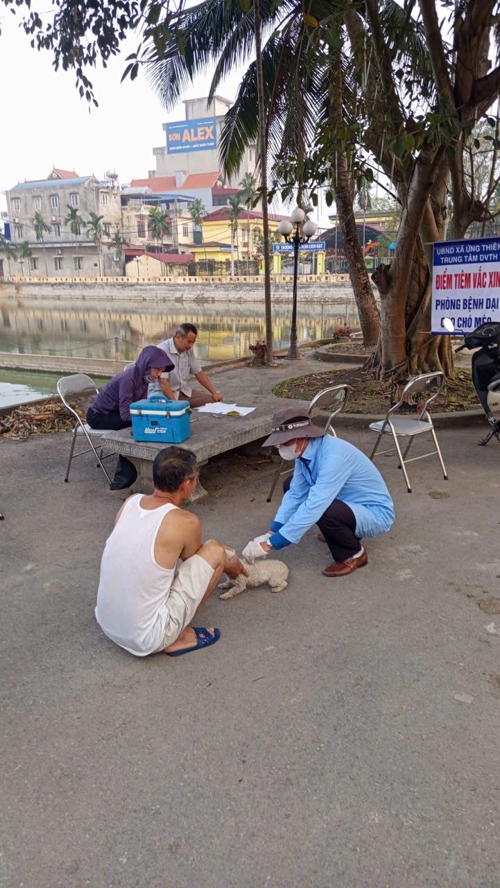 TRUNG TÂM DỊCH VỤ TỔNG HỢP TRIỂN KHAI TIÊM PHÒNG VẮC XIN DẠI CHO ĐÀN CHÓ, MÈO TRÊN ĐỊA BÀN XÃ ỨNG THIÊN ĐỢT I NĂM 2026- Ảnh 5.