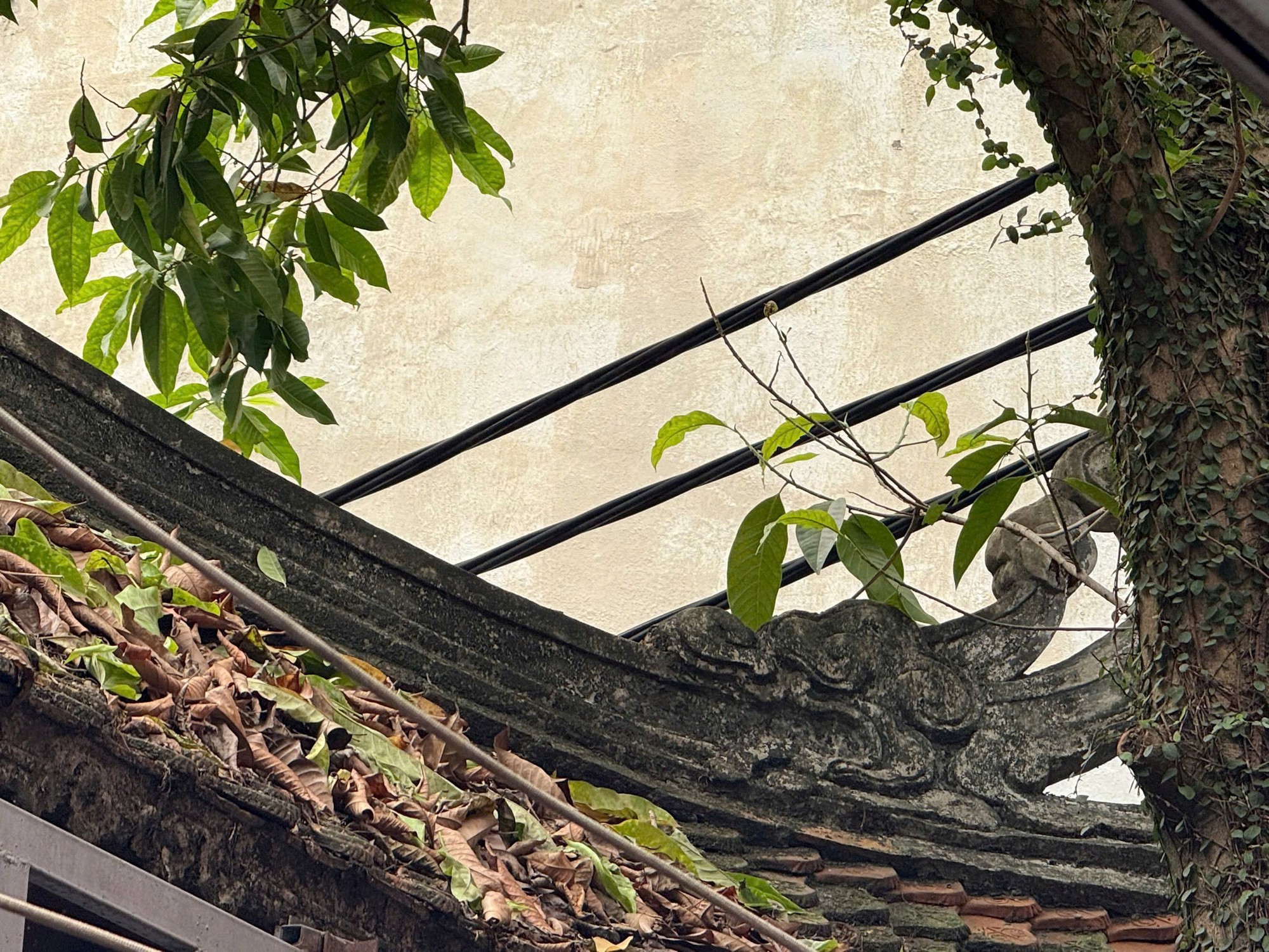 Dấu ấn lễ hội giữa lòng phố thị- Ảnh 3.