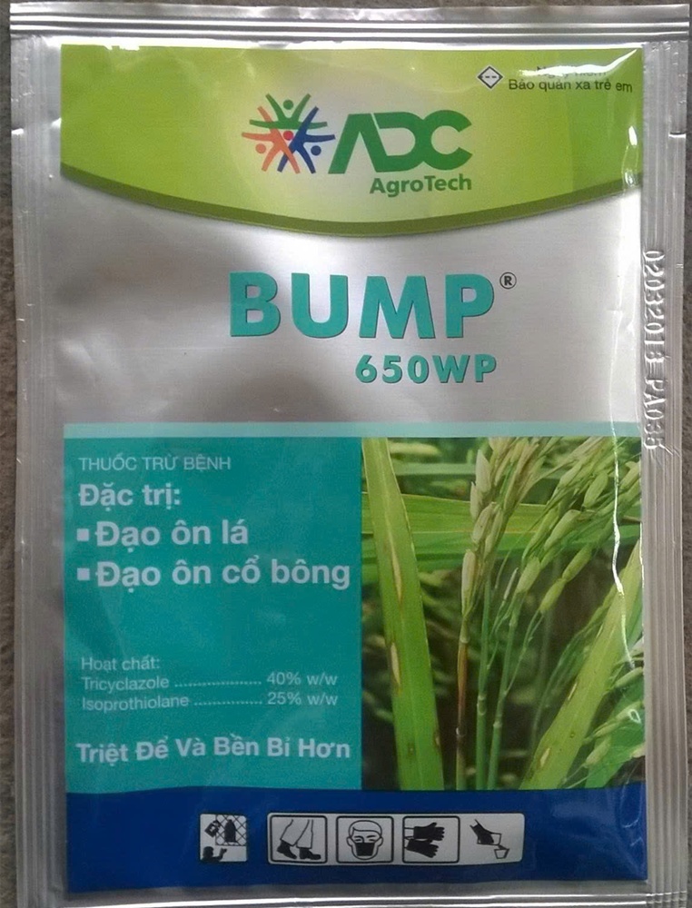 Trung tâm Dịch vụ tổng hợp xã Xuân Mai: Tình hình bệnh đạo ôn hại lúa và biện pháp phòng trừ- Ảnh 4.