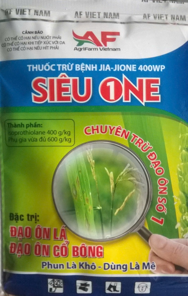 Trung tâm Dịch vụ tổng hợp xã Xuân Mai: Tình hình bệnh đạo ôn hại lúa và biện pháp phòng trừ- Ảnh 5.