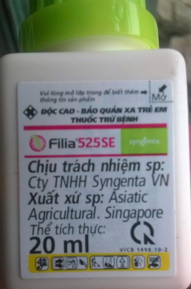 Trung tâm Dịch vụ tổng hợp xã Xuân Mai: Tình hình bệnh đạo ôn hại lúa và biện pháp phòng trừ- Ảnh 6.