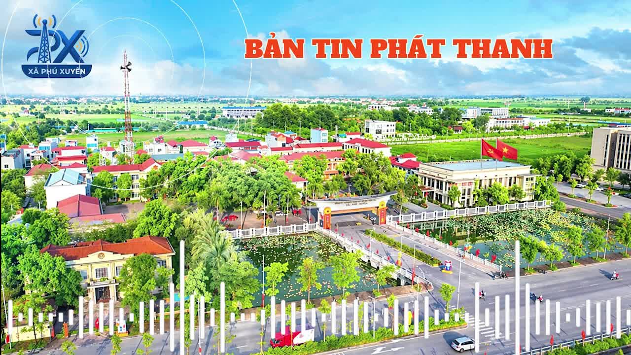 Chương trình ngày 12/5/2026