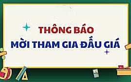 THÔNG BÁO ĐẤU GIÁ QUYỀN SỬ DỤNG ĐẤT TẠI THÔN THẠCH LỖI, XÃ NỘI BÀI