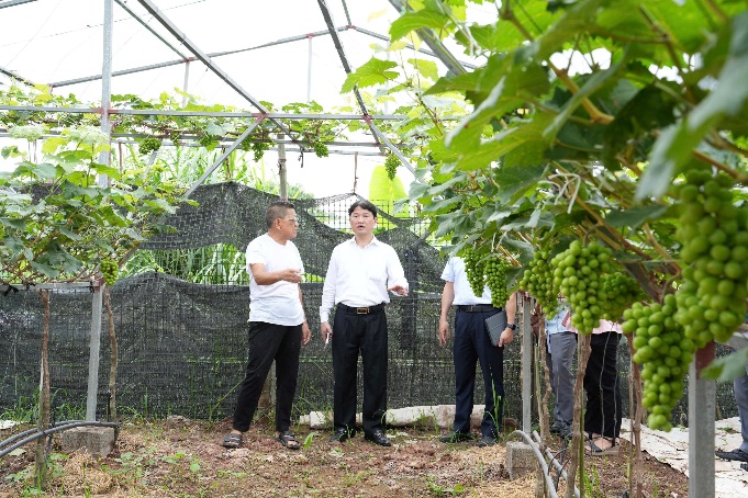 A group of men standing in a greenhouse  AI-generated content may be incorrect.