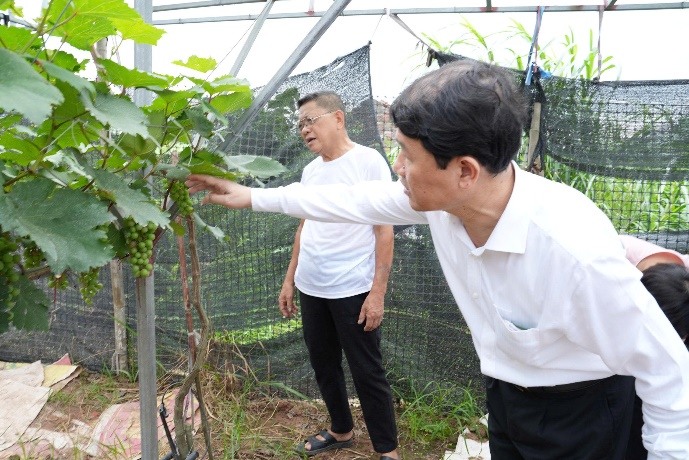 A person pointing at a plant  AI-generated content may be incorrect.