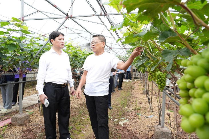 A group of men in a greenhouse  AI-generated content may be incorrect.