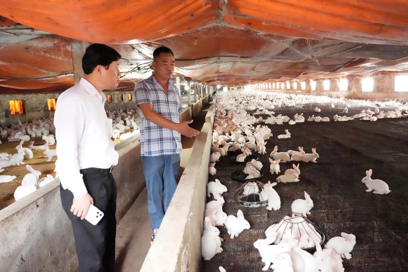 Men standing in a barn with rabbits  AI-generated content may be incorrect.