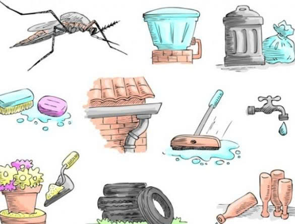 Chủ động phòng chống bệnh sốt xuất huyết- Ảnh 2.
