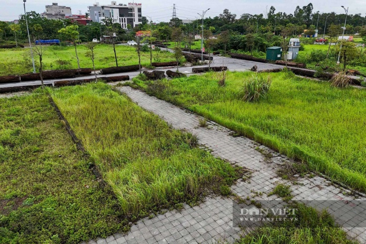 Cận cảnh khu tái định cư sẵn sàng đón người dân nhường đất xây siêu cầu Trần Hưng Đạo và Tứ Liên- Ảnh 16.