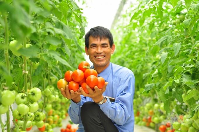 Quốc Oai tăng cường tuyên truyền an toàn thực phẩm trong sản xuất nông nghiệp- Ảnh 2.