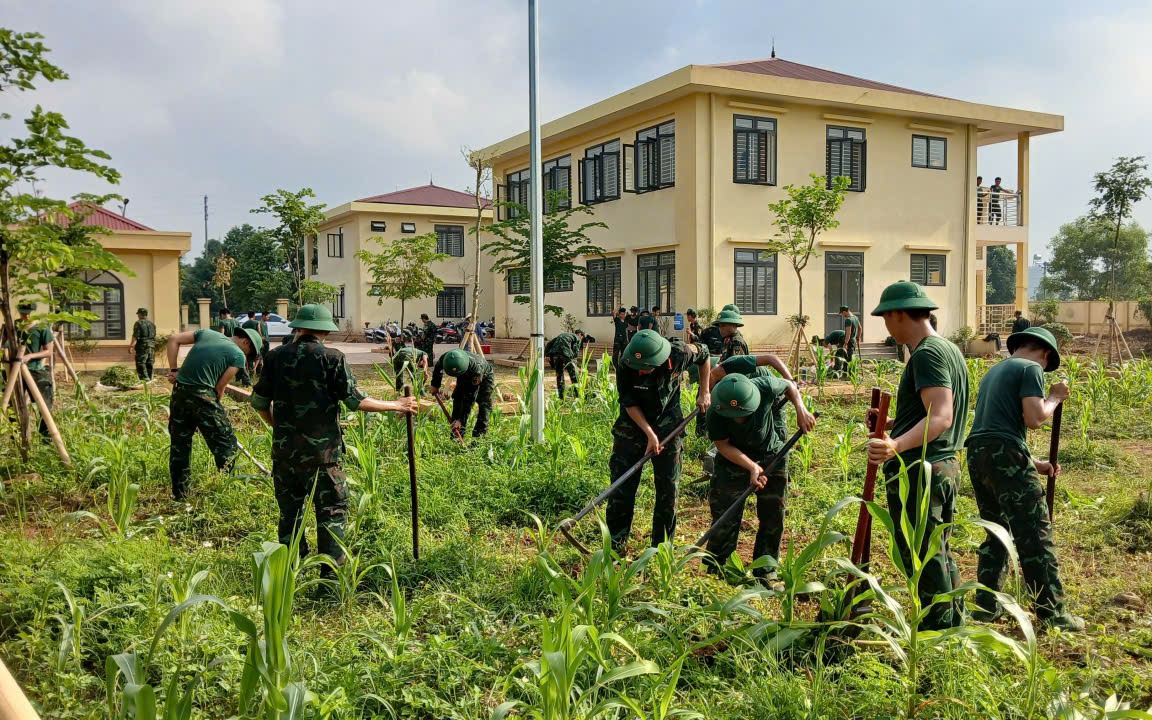 Hòa Lạc: Ra quân tổng vệ sinh, sẵn sàng đưa vào sử dụng điểm trường  Mầm non, Tiểu học tại khu tái định cư Đại học Quốc gia