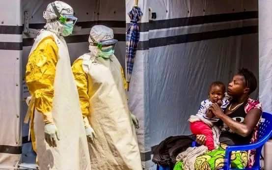 EBOLA BÙNG PHÁT TẠI CHÂU PHI, CHỦ ĐỘNG PHÒNG NGỪA DỊCH BỆNH XÂM NHẬP- Ảnh 1.