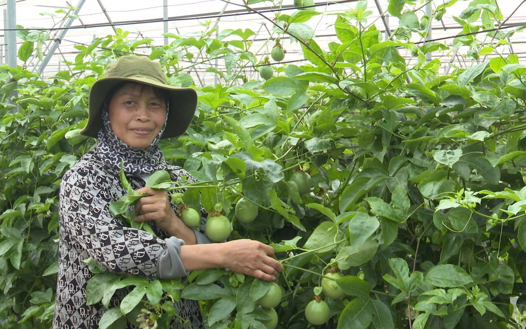 Chị Đặng Thị Cuối -  Gương phụ nữ tiêu biểu trong phong trào phát triển kinh tế