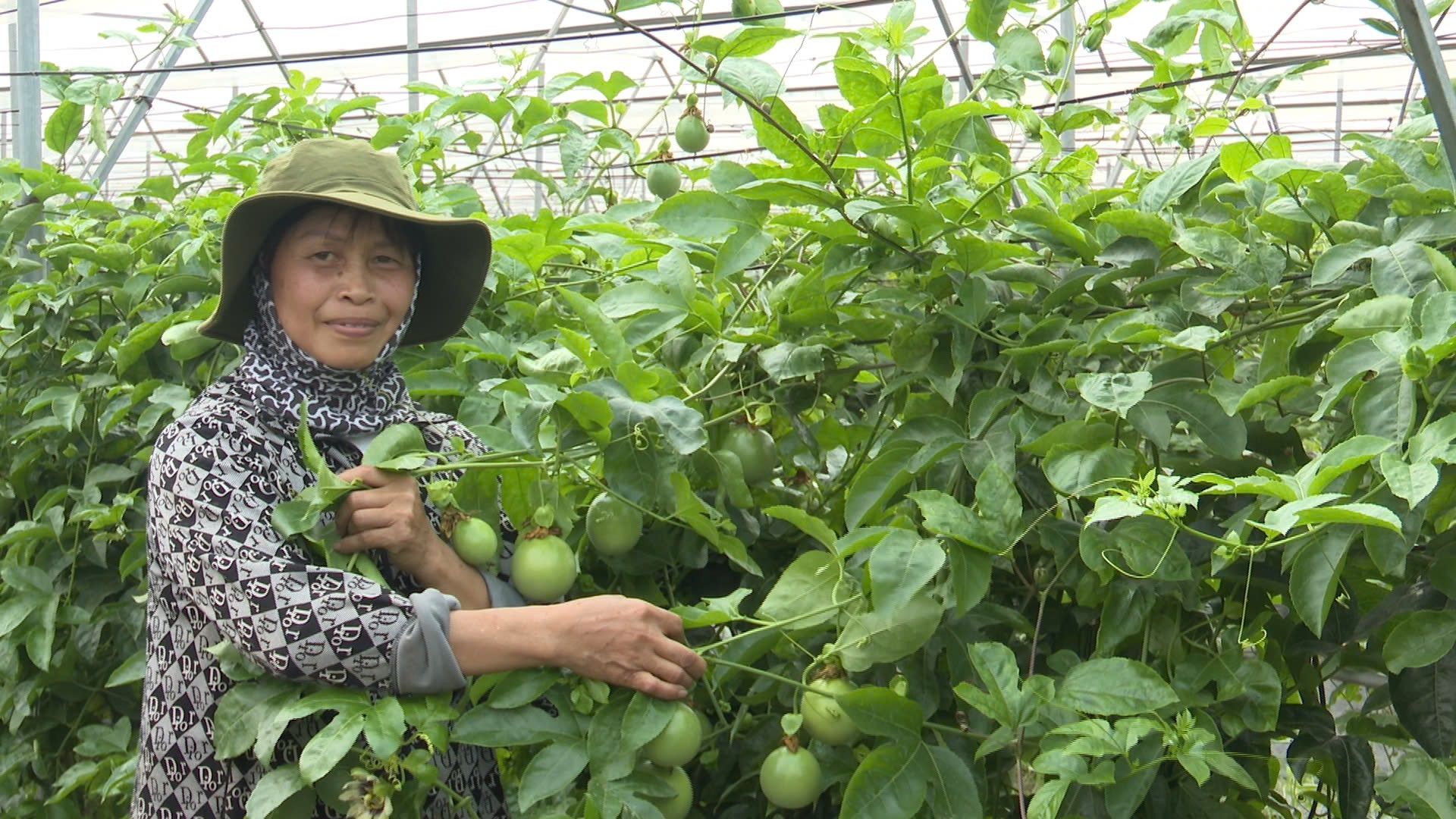 Chị Đặng Thị Cuối -  Gương phụ nữ tiêu biểu trong phong trào phát triển kinh tế- Ảnh 1.