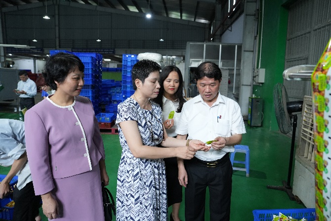Lãnh đạo xã Thuận An kiểm tra hiện trạng Khu Công nghiệp trên địa bàn xã- Ảnh 7.