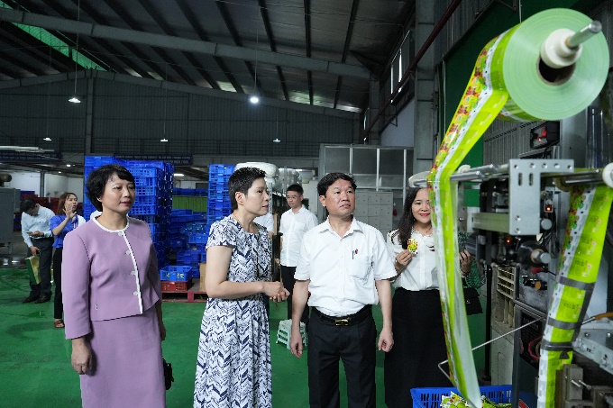 Lãnh đạo xã Thuận An kiểm tra hiện trạng Khu Công nghiệp trên địa bàn xã- Ảnh 8.