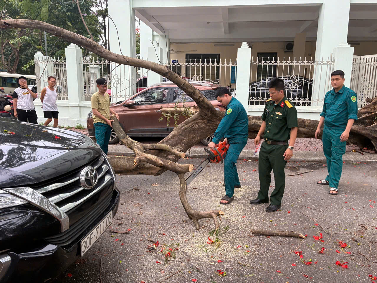 PHƯỜNG NGHĨA ĐÔ KỊP THỜI XỬ LÝ CÂY XANH BẬT GỐC TẠI NGÕ 203 ĐƯỜNG HOÀNG QUỐC VIỆT- Ảnh 1.