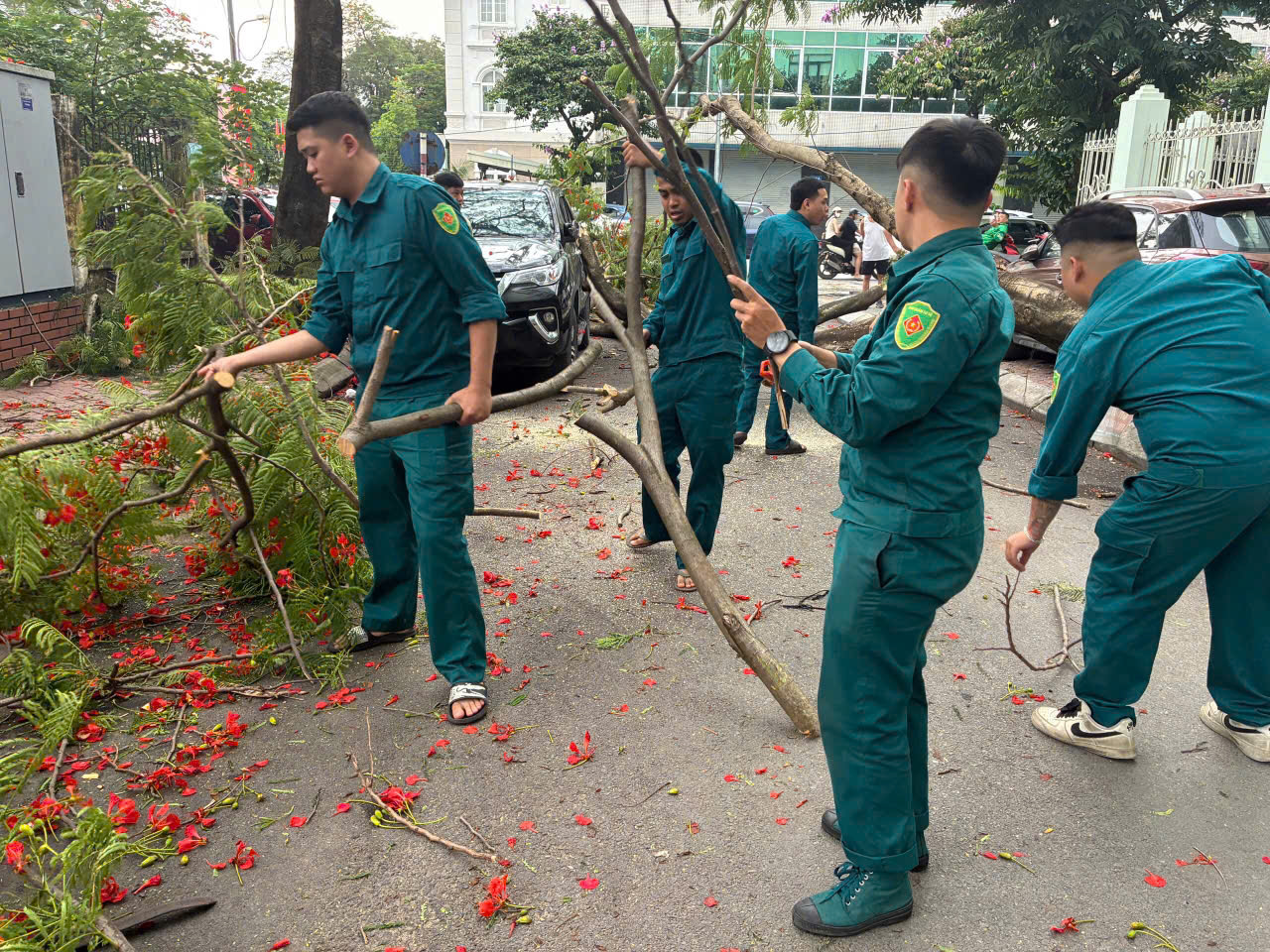 PHƯỜNG NGHĨA ĐÔ KỊP THỜI XỬ LÝ CÂY XANH BẬT GỐC TẠI NGÕ 203 ĐƯỜNG HOÀNG QUỐC VIỆT- Ảnh 2.