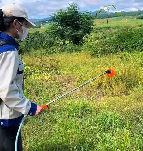Sử dụng thuốc diệt cỏ đúng cách – Bảo vệ sức khỏe và môi trường- Ảnh 1.