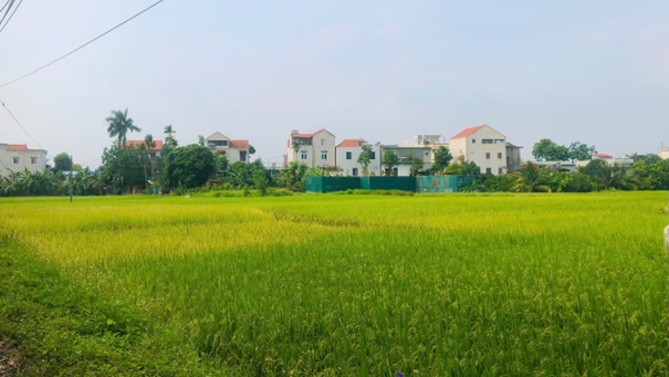 Xã Yên Lãng khuyến cáo người dân không đốt, phơi rơm rạ trên đường- Ảnh 1.
