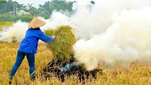 Xã Yên Lãng khuyến cáo người dân không đốt, phơi rơm rạ trên đường- Ảnh 2.