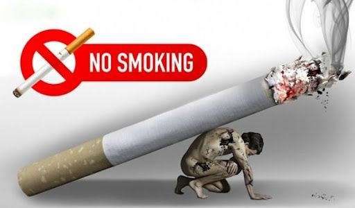 Phòng chống tác hại của thuốc lá- Ảnh 1.