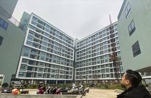 NHÀ Ở CHO THUÊ: NÓI XONG LÀ LÀM LUÔN- Ảnh 3.