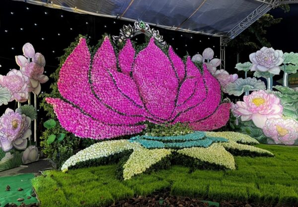 Lễ hội Sen Hà Nội năm 2026 - Tôn vinh vẻ đẹp văn hóa Việt và lan tỏa giá trị du lịch Thủ đô- Ảnh 1.