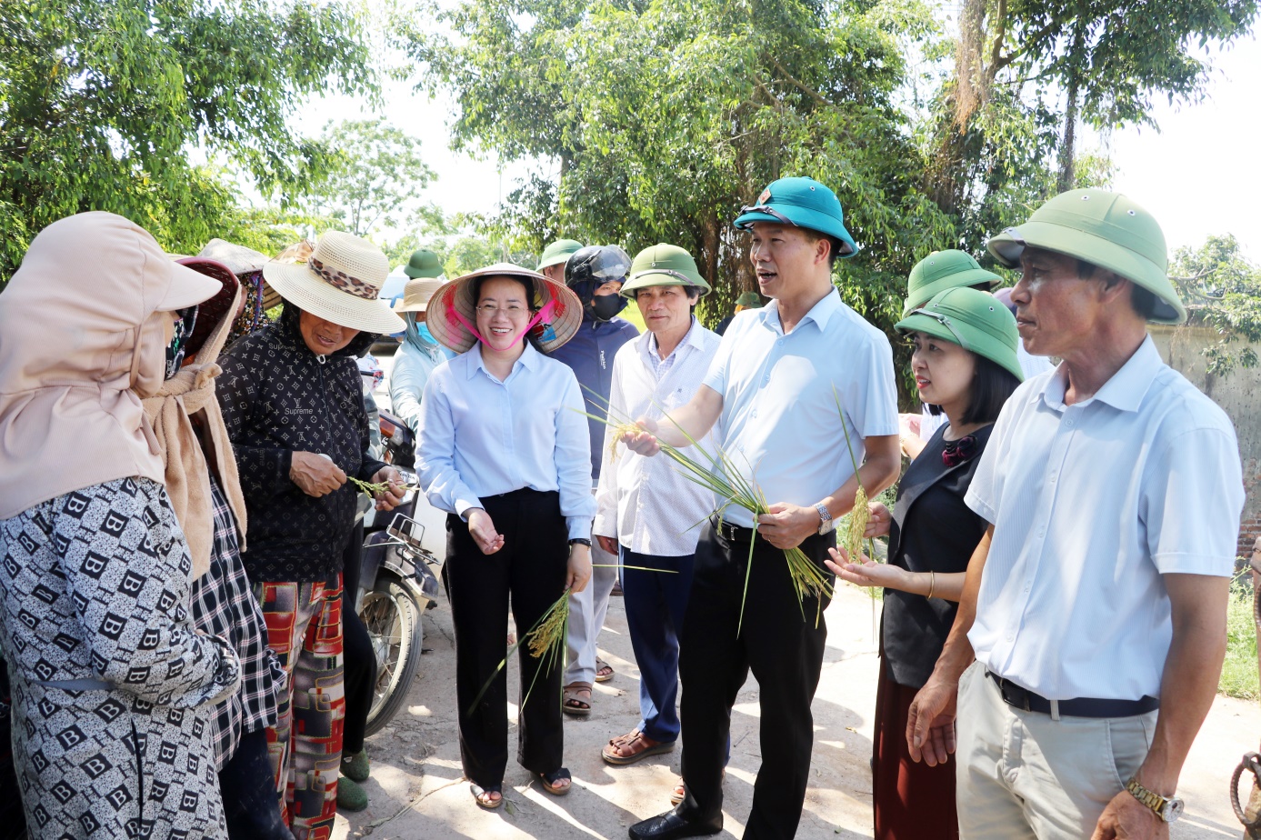 Hội nghị sơ kết công tác sản xuất vụ Xuân năm 2026, đánh giá kết quả thực hiện mô hình lúa J02 và triển khai kế hoạch sản xuất vụ Mùa, vụ Đông năm 2026–2027- Ảnh 2.