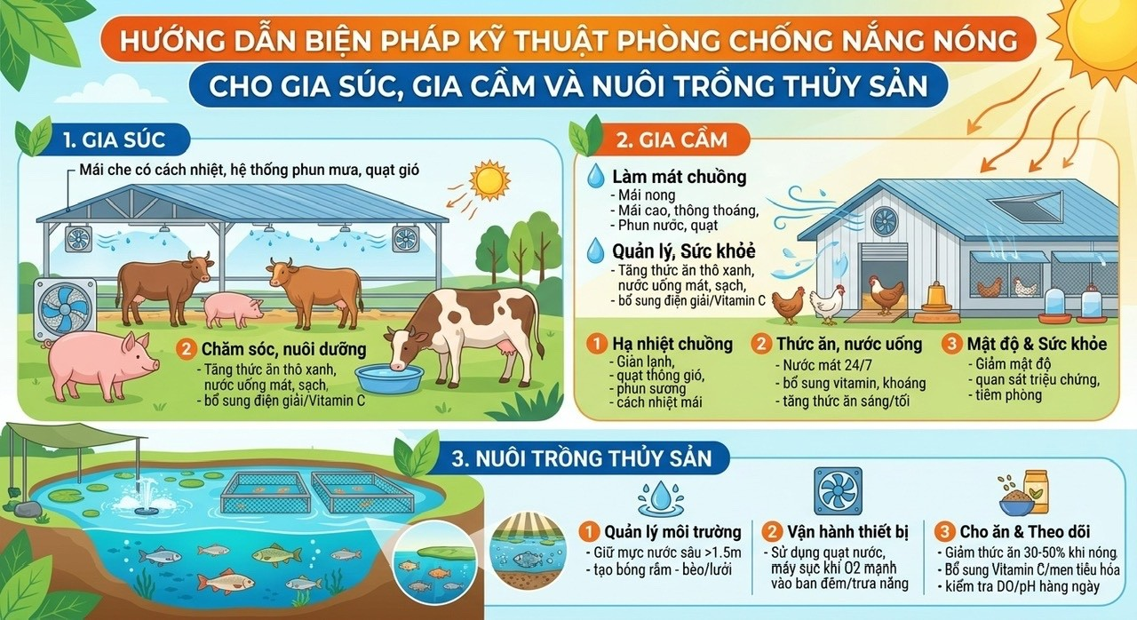 Hướng dẫn biện pháp kỹ thuật phòng chống nắng nóng cho gia súc, gia cầm và nuôi trồng thủy sản- Ảnh 1.