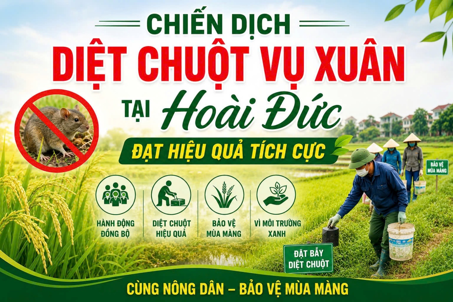 Chiến dịch diệt chuột vụ Xuân tại Hoài Đức đạt hiệu quả tích cực- Ảnh 1.
